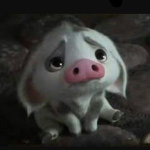 Meet your Posher, Tiwin